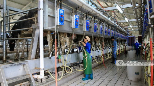 钟山科技服务 以信息技术咨询助力富民产业发展